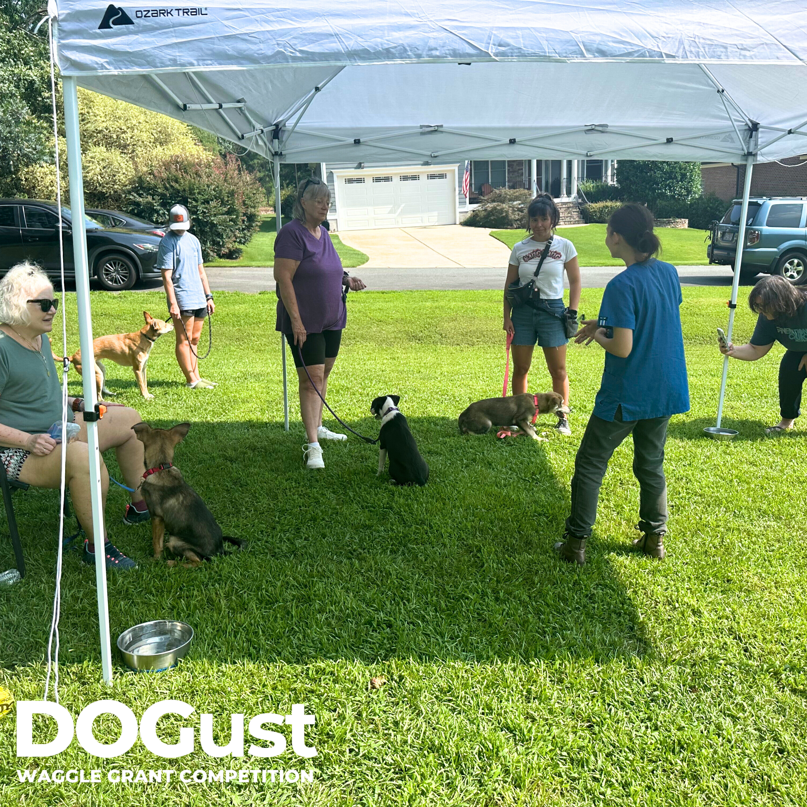 US Dog Coalition and Rescue