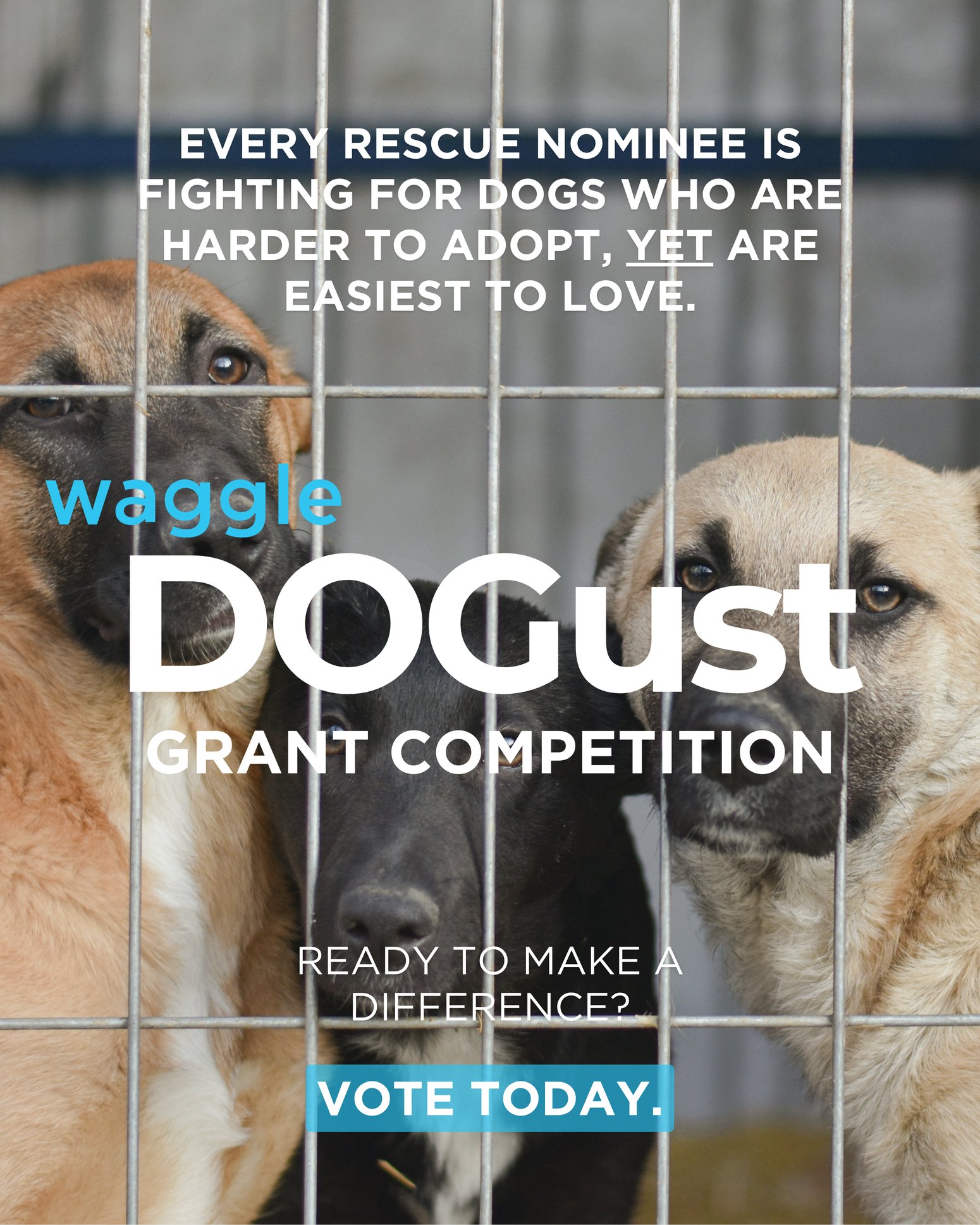 DOGust_VotingPage (v3)