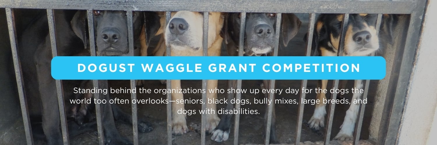 DOGust 26 Email Header (1)